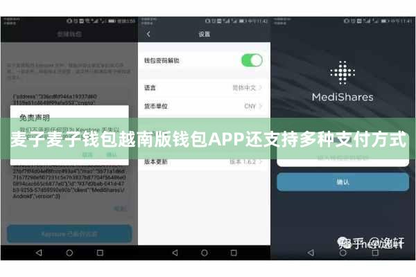 麦子麦子钱包越南版钱包APP还支持多种支付方式