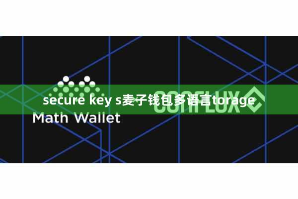 secure key s麦子钱包多语言torage