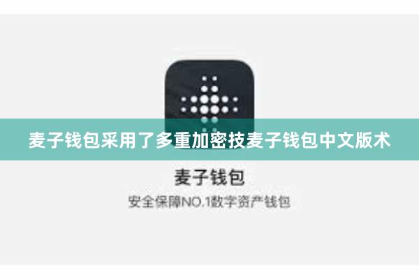 麦子钱包采用了多重加密技麦子钱包中文版术