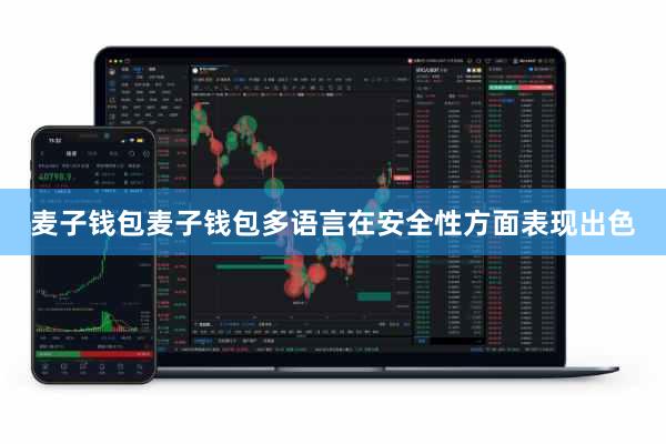 麦子钱包麦子钱包多语言在安全性方面表现出色
