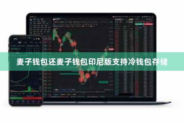麦子钱包还麦子钱包印尼版支持冷钱包存储