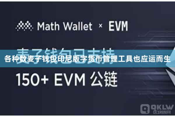 各种数麦子钱包印尼版字货币管理工具也应运而生