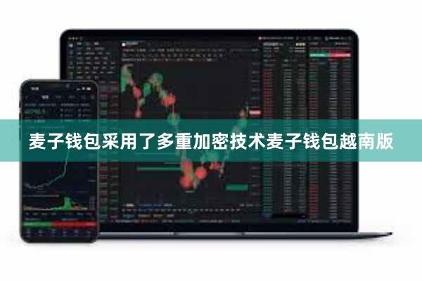 麦子钱包采用了多重加密技术麦子钱包越南版