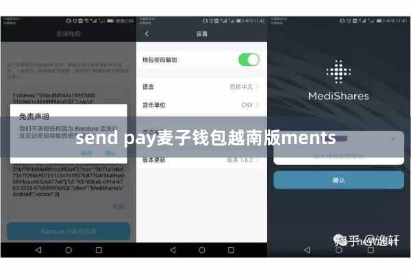 send pay麦子钱包越南版ments