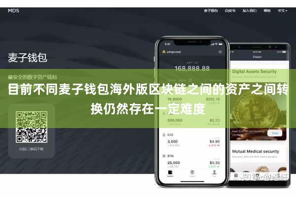 目前不同麦子钱包海外版区块链之间的资产之间转换仍然存在一定难度