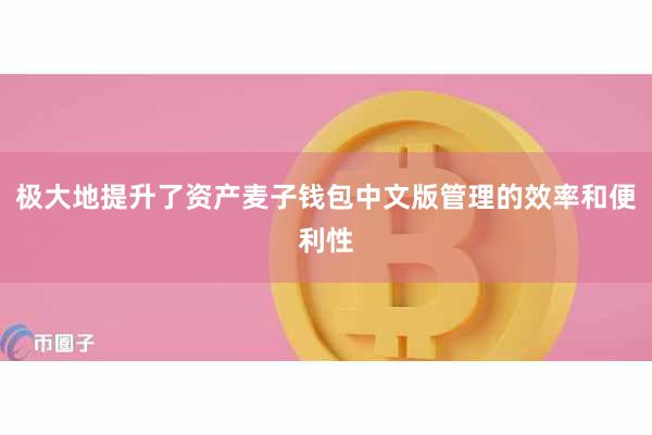 极大地提升了资产麦子钱包中文版管理的效率和便利性
