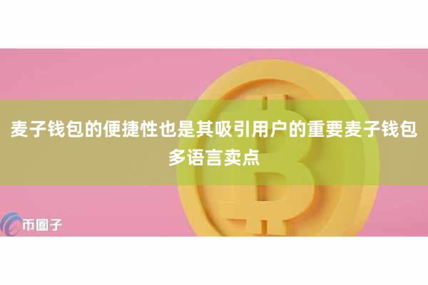 麦子钱包的便捷性也是其吸引用户的重要麦子钱包多语言卖点
