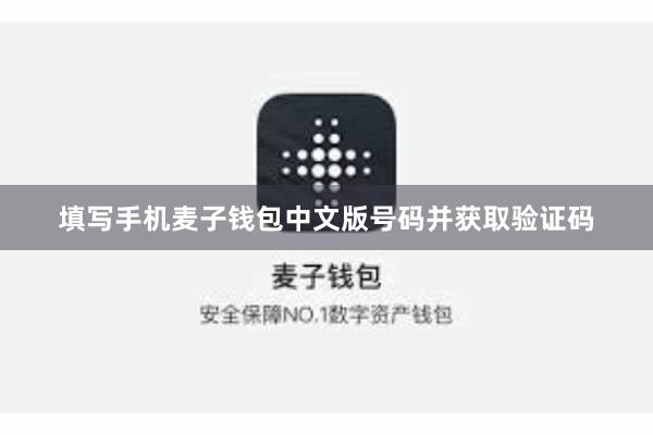 填写手机麦子钱包中文版号码并获取验证码