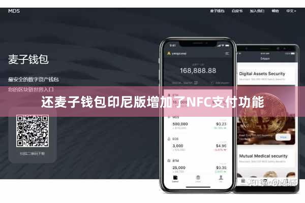 还麦子钱包印尼版增加了NFC支付功能