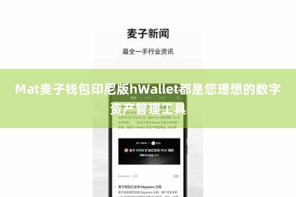 Mat麦子钱包印尼版hWallet都是您理想的数字资产管理工具