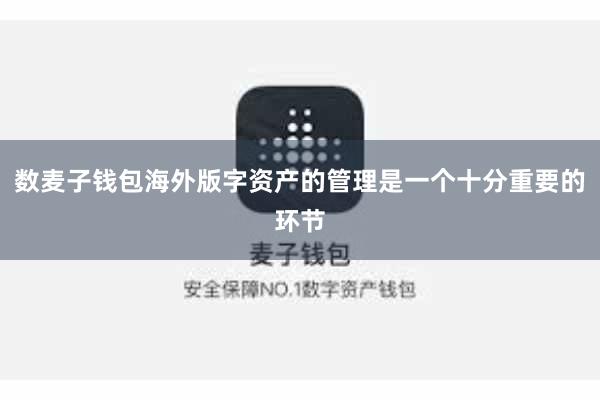 数麦子钱包海外版字资产的管理是一个十分重要的环节