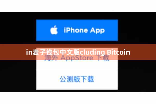 in麦子钱包中文版cluding Bitcoin