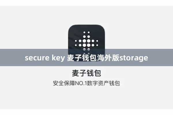 secure key 麦子钱包海外版storage