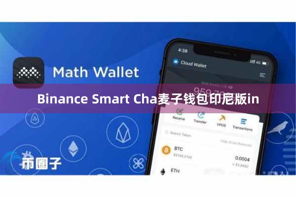 Binance Smart Cha麦子钱包印尼版in