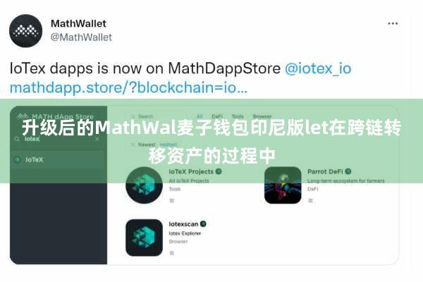 升级后的MathWal麦子钱包印尼版let在跨链转移资产的过程中