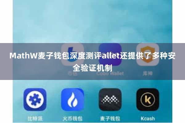 MathW麦子钱包深度测评allet还提供了多种安全验证机制