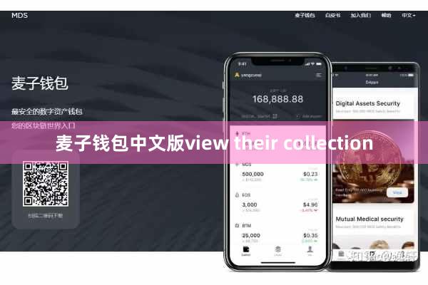 麦子钱包中文版view their collection