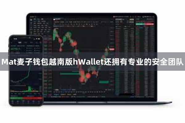 Mat麦子钱包越南版hWallet还拥有专业的安全团队