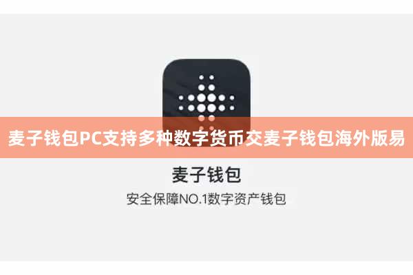 麦子钱包PC支持多种数字货币交麦子钱包海外版易