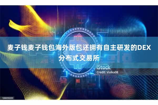 麦子钱麦子钱包海外版包还拥有自主研发的DEX分布式交易所