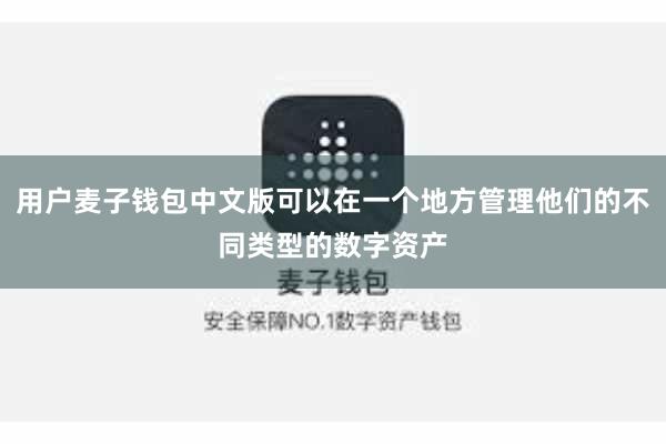 用户麦子钱包中文版可以在一个地方管理他们的不同类型的数字资产