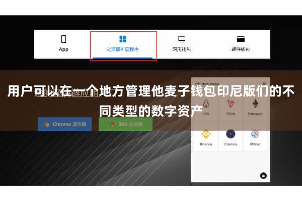 用户可以在一个地方管理他麦子钱包印尼版们的不同类型的数字资产