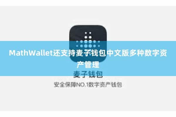 MathWallet还支持麦子钱包中文版多种数字资产管理